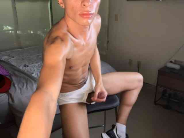 zamirpdll