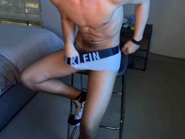 zamirpdll
