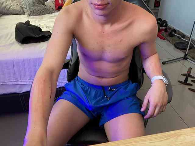 zamirpdll