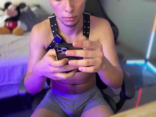 zamirpdll