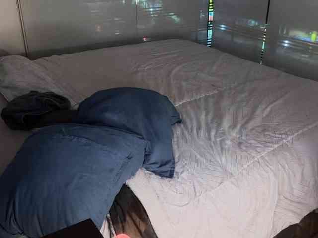 zamirpdll Sex Cam Show