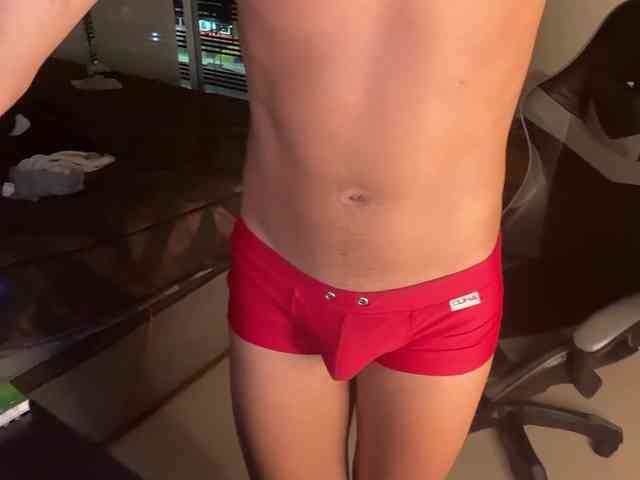 zamirpdll