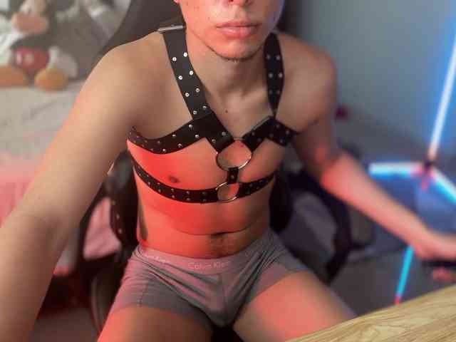 zamirpdll