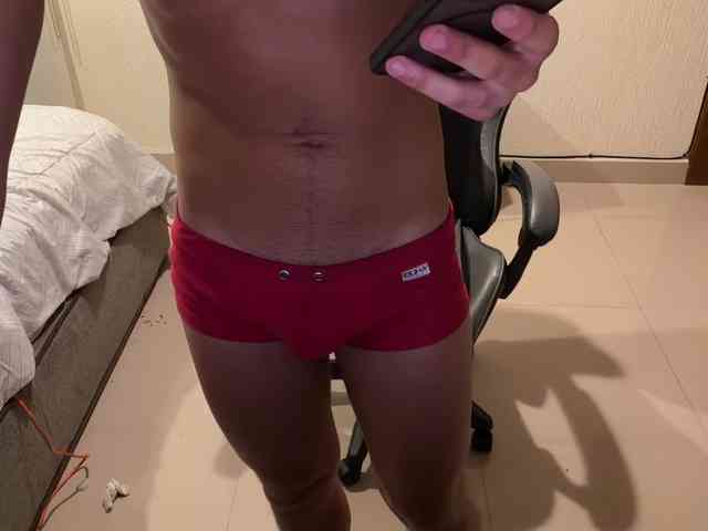 zamirpdll