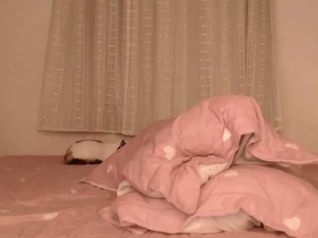 katerinemodel4 live cam on BongaCams