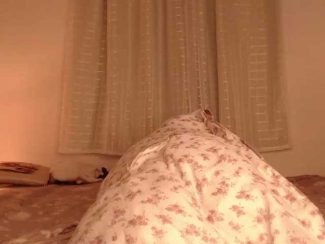 katerinemodel4 live cam on BongaCams