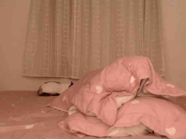 katerinemodel4 webcam