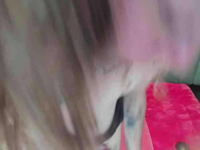 AlaiaEvanss