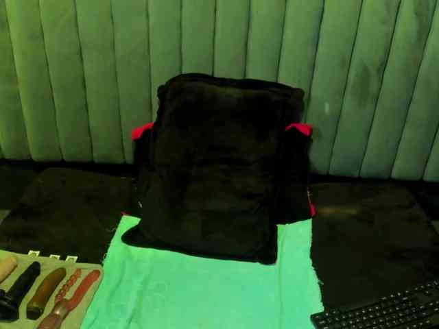 AlaiaEvanss webcam