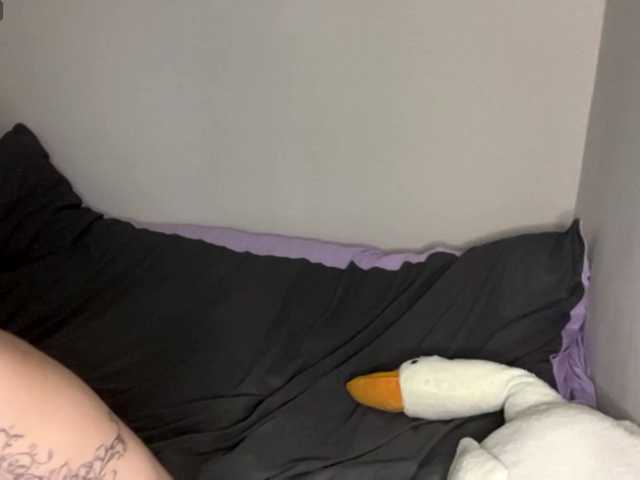 DarlenaBoothman live webcam show