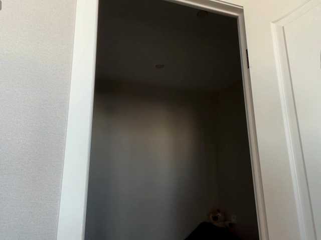 Preview of darlenaboothman