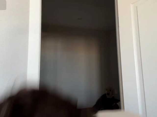 DarlenaBoothman live cam