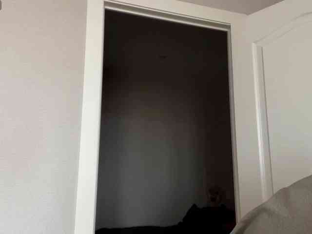 DarlenaBoothman webcam