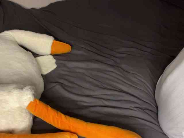 DarlenaBoothman webcam