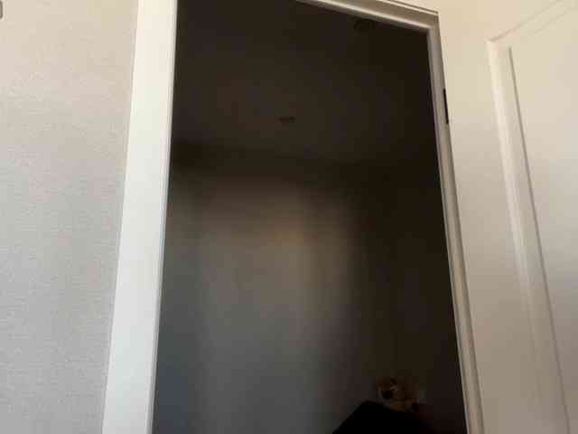 DarlenaBoothman webcam