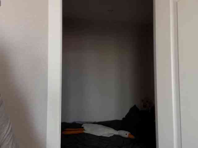 DarlenaBoothman webcam
