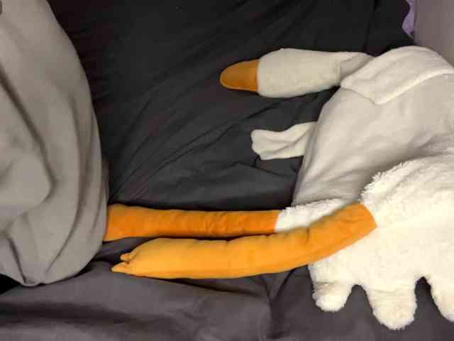 DarlenaBoothman webcam