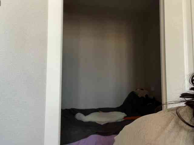 DarlenaBoothman webcam