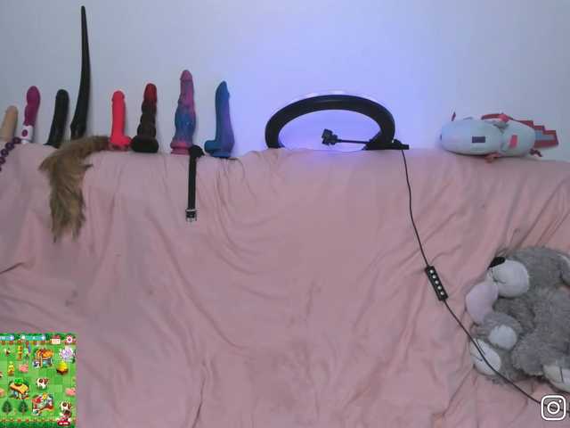 P1nkbutt's BongaCams show and profile