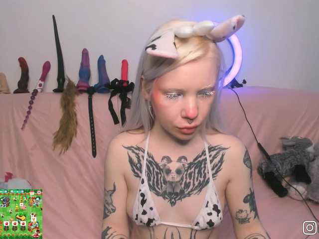 P1nkbutt's BongaCams show and profile