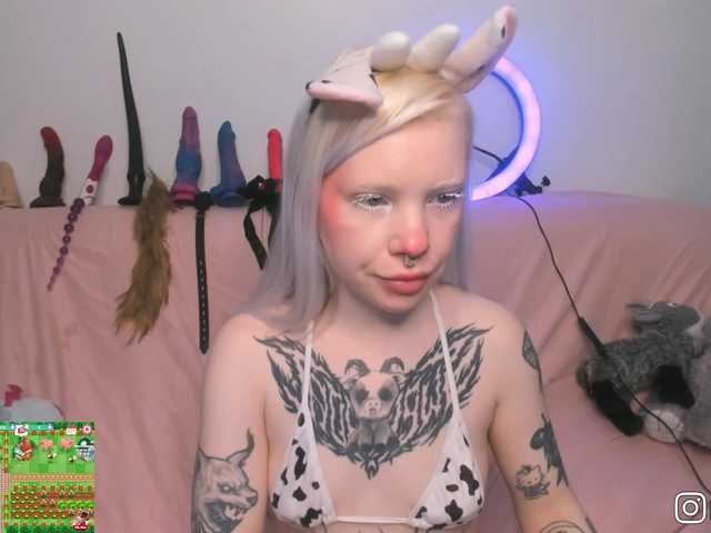P1nkbutt's BongaCams show and profile