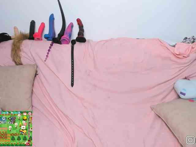 P1nkbutt webcam