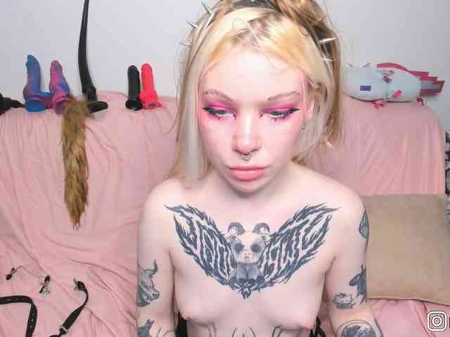 P1nkbutt webcam