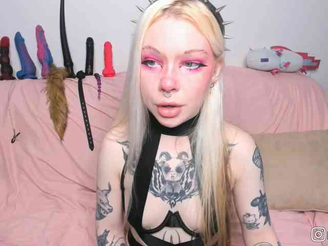 P1nkbutt webcam