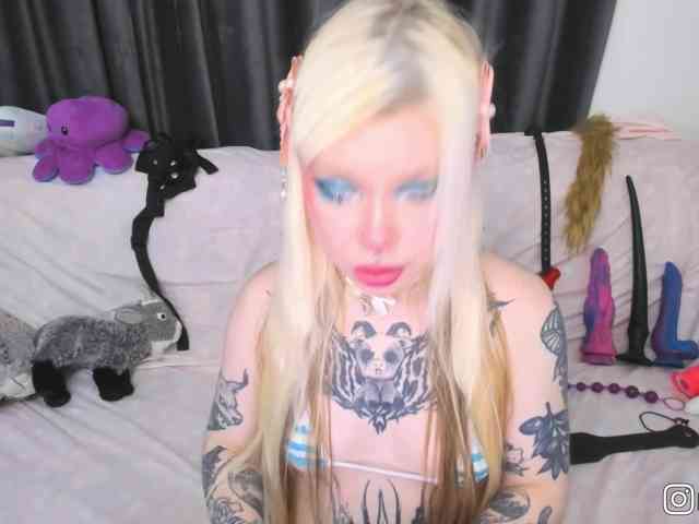 P1nkbutt webcam