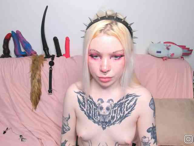 P1nkbutt webcam
