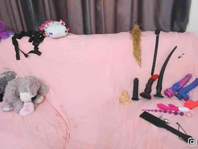 P1nkbutt webcam