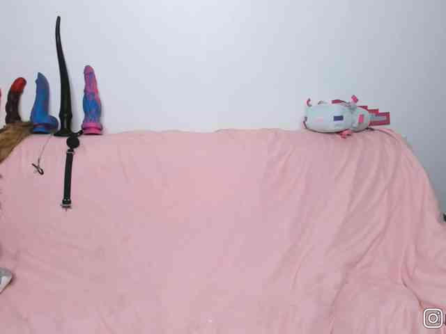 P1nkbutt webcam