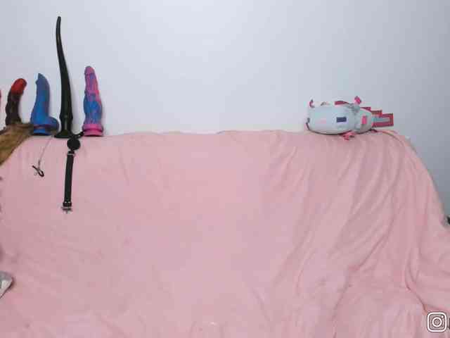 P1nkbutt webcam