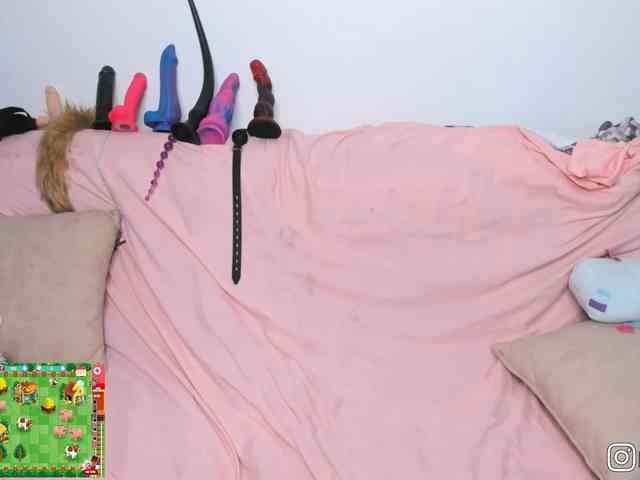 P1nkbutt webcam