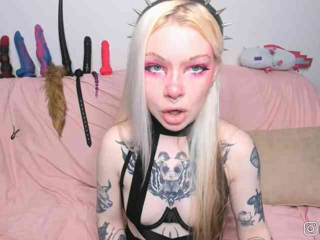 P1nkbutt webcam