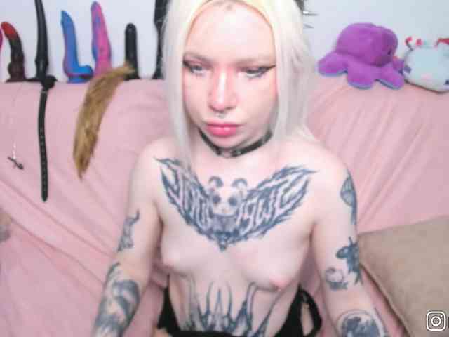 P1nkbutt webcam