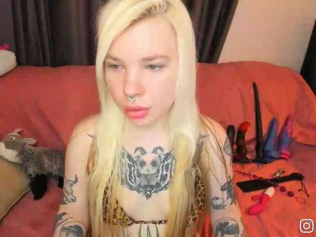 P1nkbutt webcam