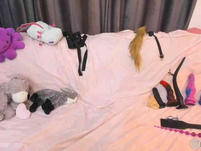 P1nkbutt webcam