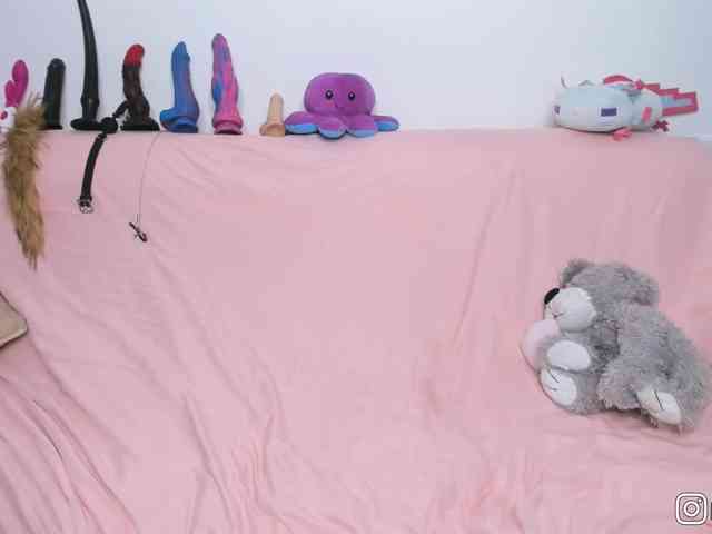 P1nkbutt webcam