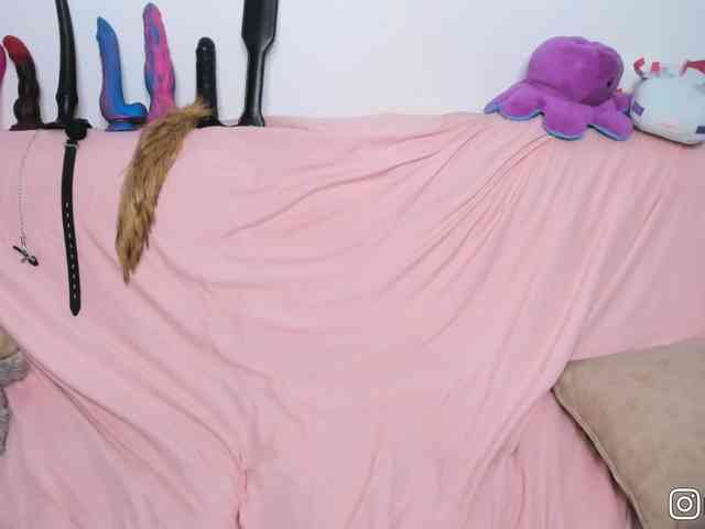 P1nkbutt Live Webcam on BongaCams