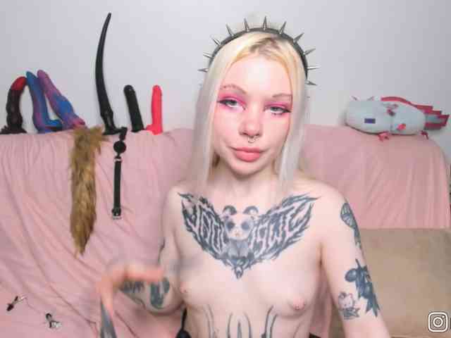 P1nkbutt webcam