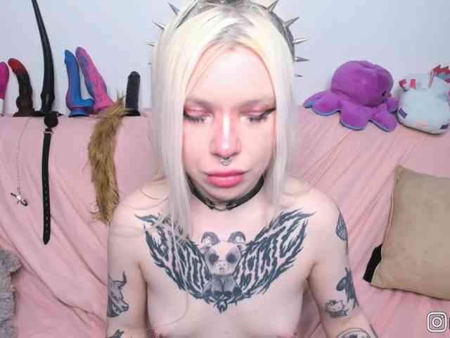 P1nkbutt webcam