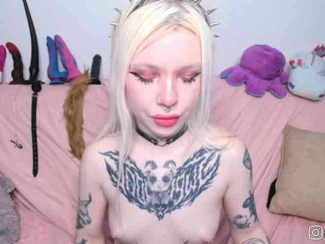 P1nkbutt webcam