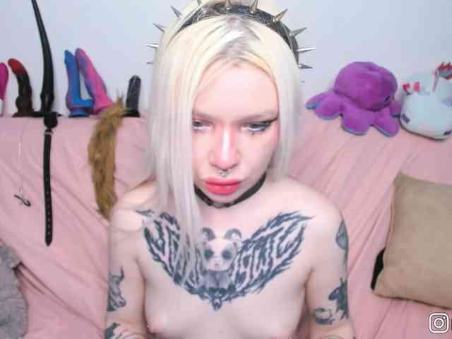 P1nkbutt webcam