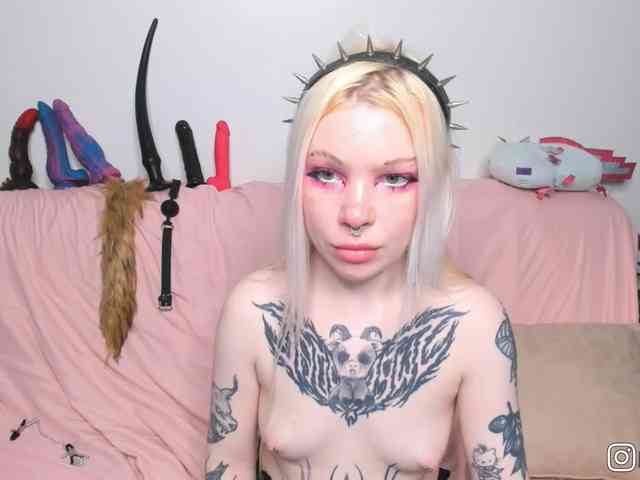 P1nkbutt webcam