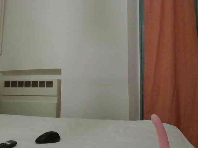 Sagnic2345 webcam