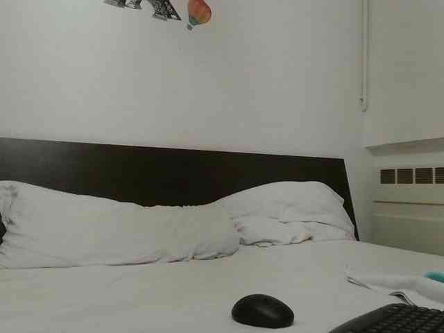 Sagnic2345 webcam