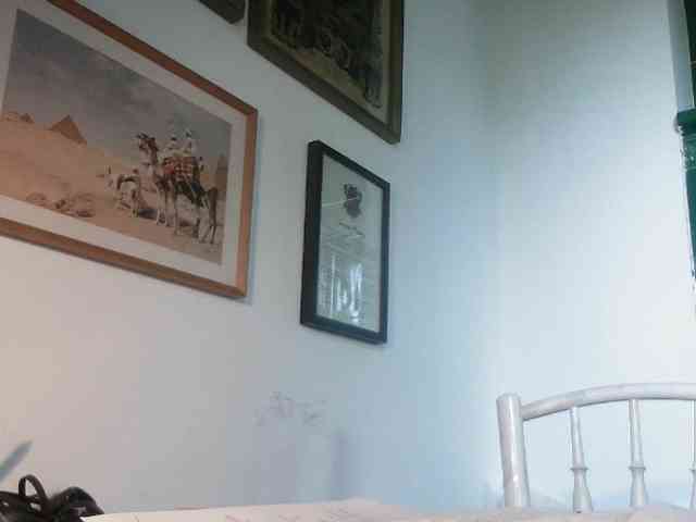 AmanelWhite webcam