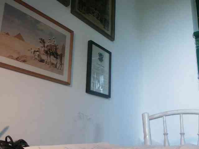 AmanelWhite webcam
