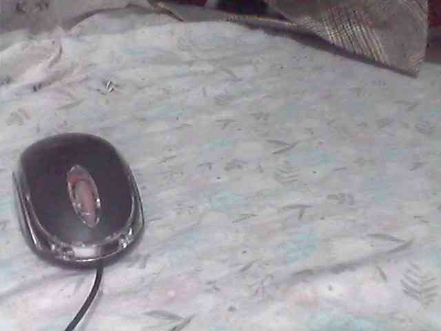 Amelia254-1 webcam
